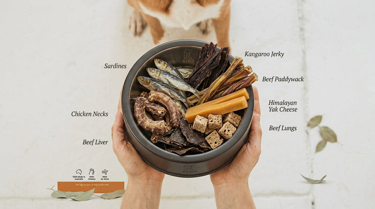 Air-Dried Dog Foods